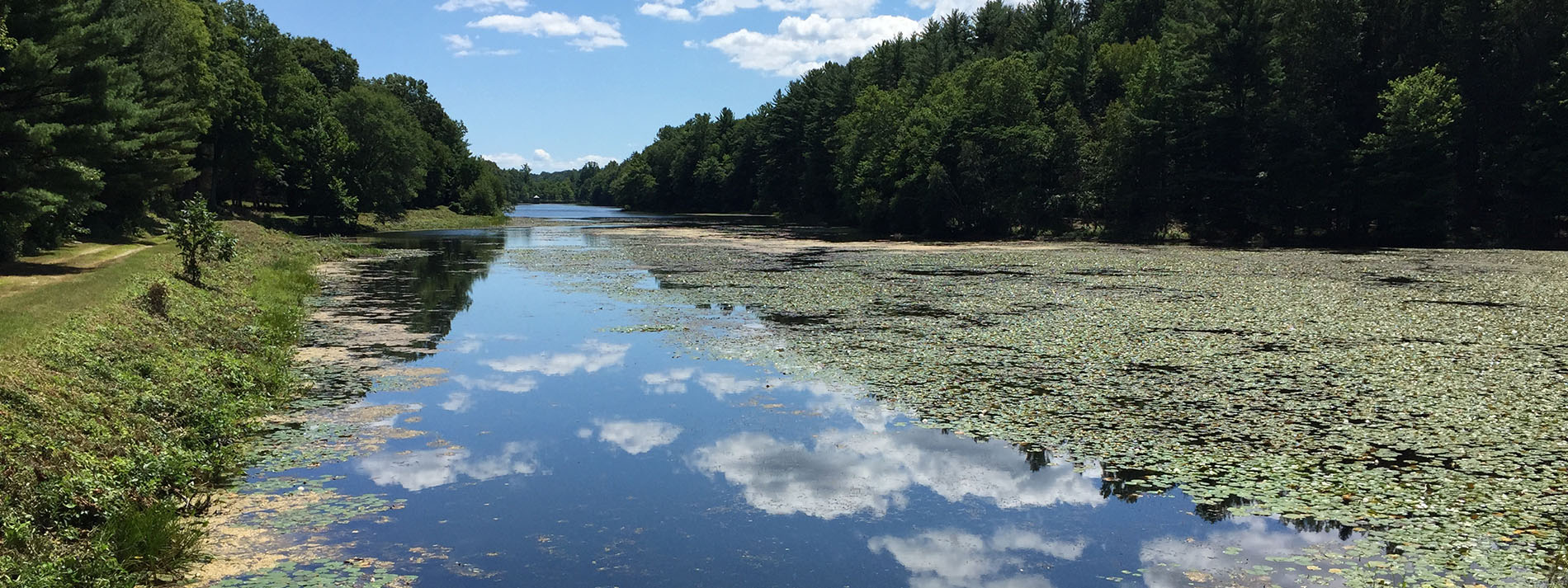 The image shows a serene lakeside scene with a calm body of water reflecting the blue sky, surrounded by trees and vegetation, with a clear view across the lake to a distant shore under a bright sun.